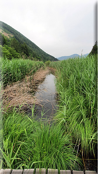 foto Lago di Lases